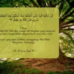 nafkahkan harta yang dicintai, QS. Alli Imran 92