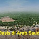 Oasis di Arab Saudi