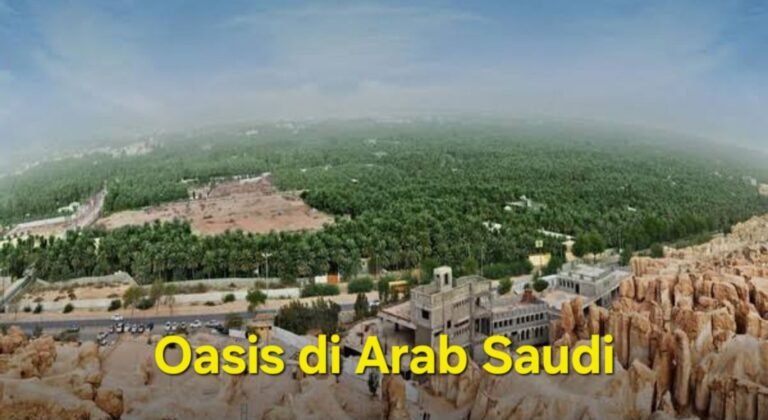 Oasis di Arab Saudi