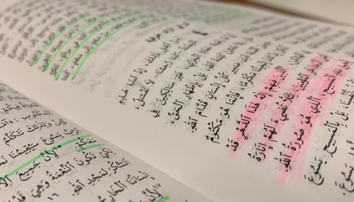Kesan Para Sahabat Rasul SAW. Terhadap Ilmu Agama Begitu Mendalam